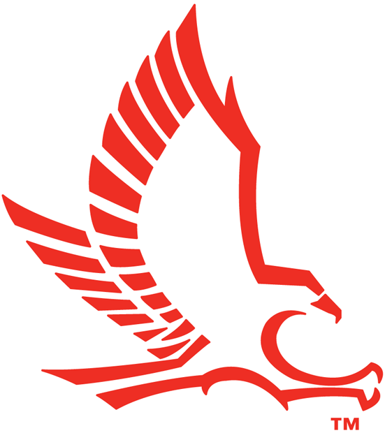 Hartford Hawks 1984-Pres Secondary Logo t shirts DIY iron ons